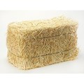 Wheat Straw
